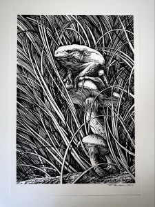 Kambo print (Outlet)